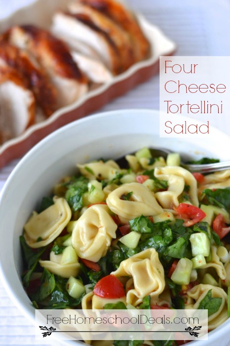 Four Cheese Tortellini Salad; delicious and easy, perfect for quick summer dinner